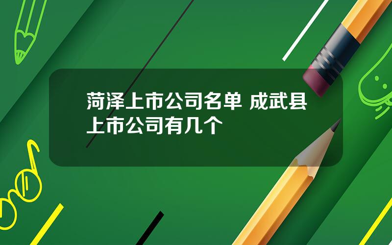 菏泽上市公司名单 成武县上市公司有几个
